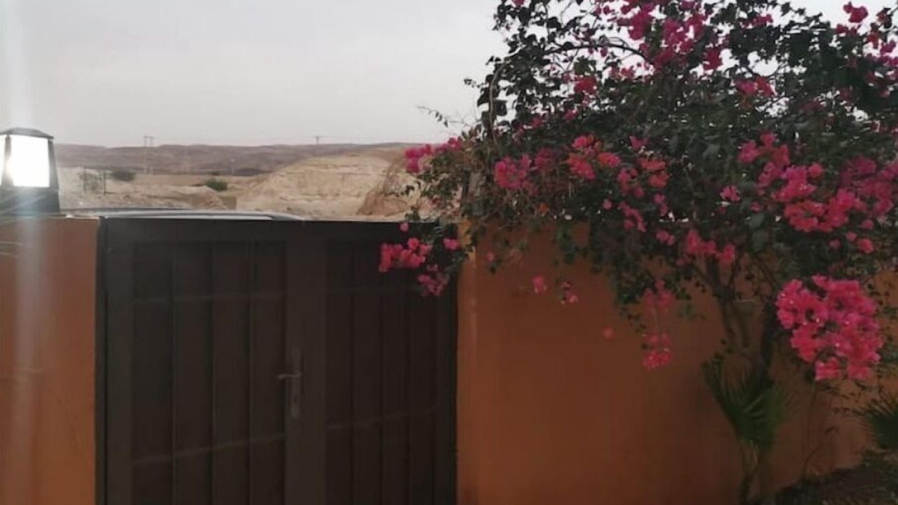 Photo of Outdoor in Salt