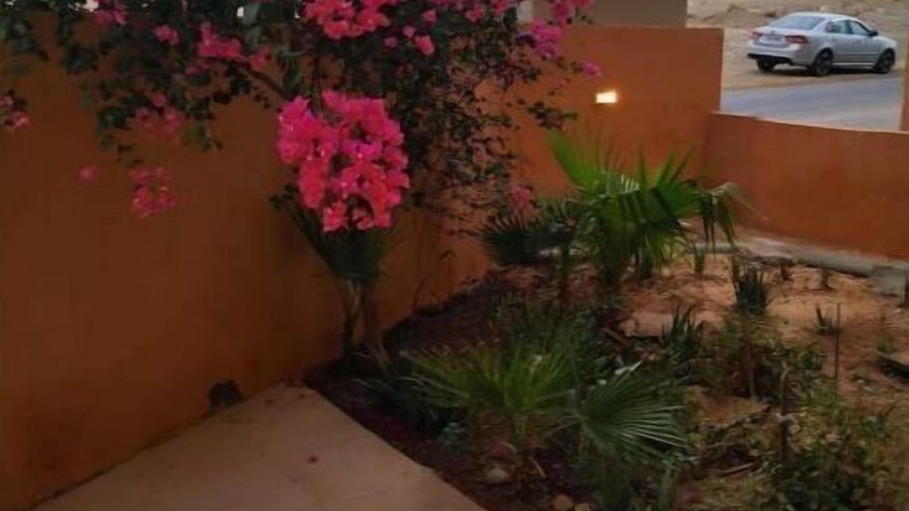 Photo of Outdoor in Salt