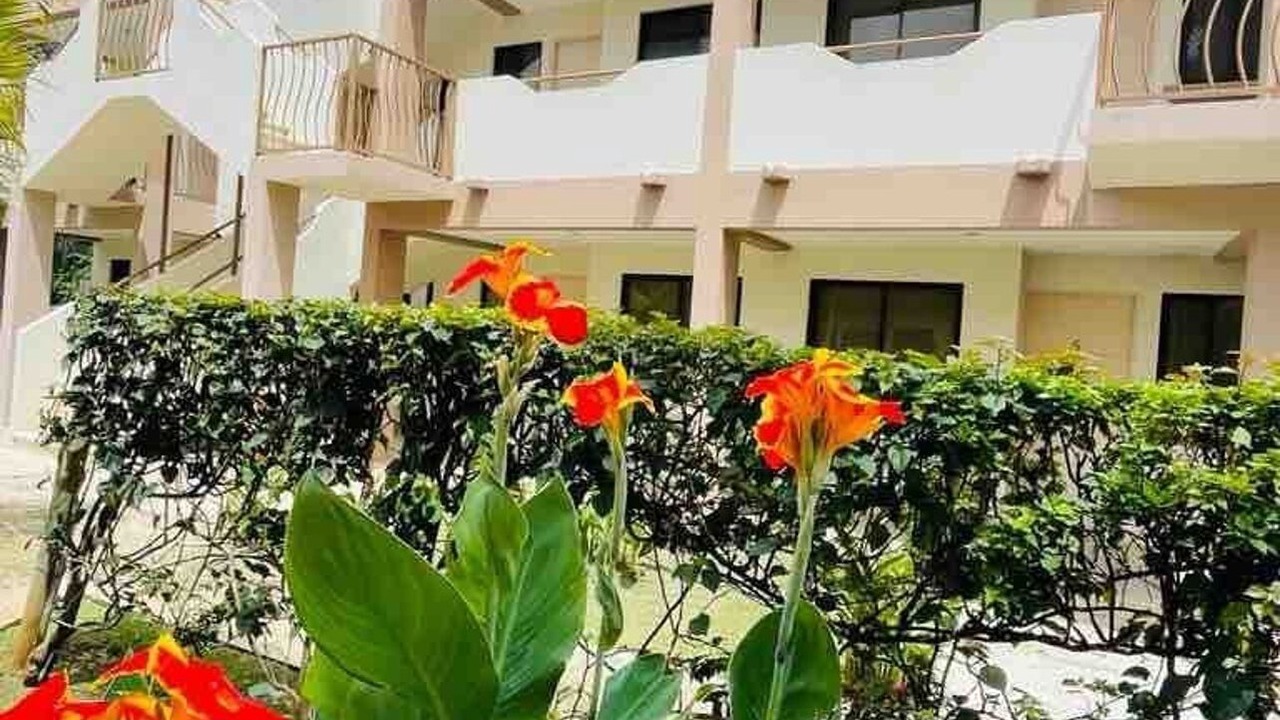 Photo of Outdoor in Coco