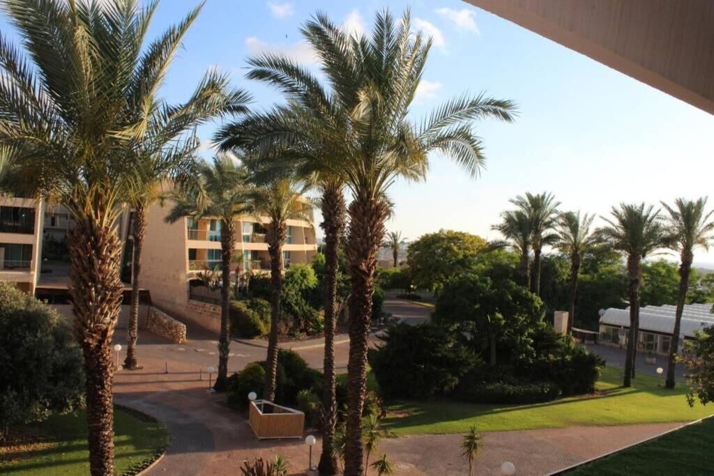 Photo of Outdoor in Caesarea