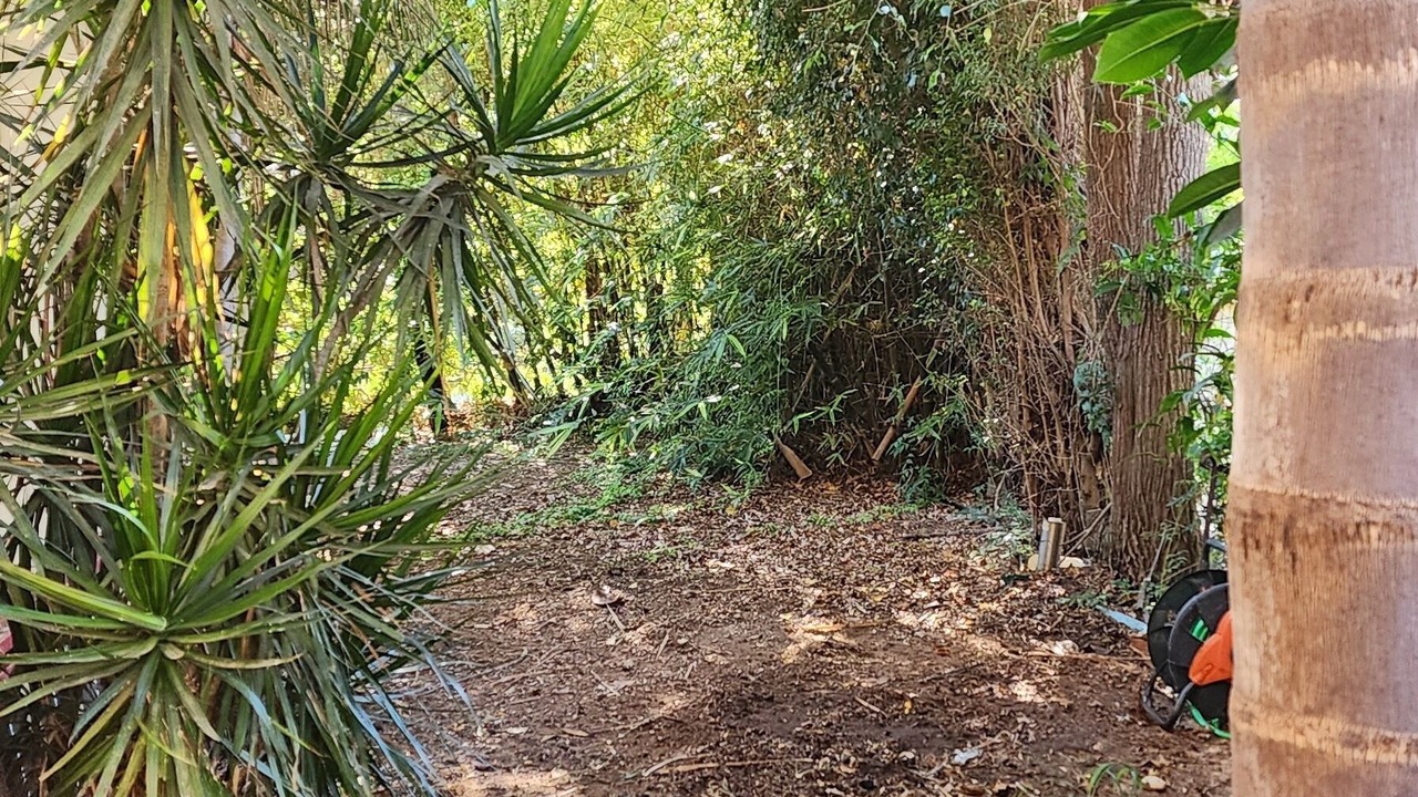Photo of Outdoor in Lev HaSharon