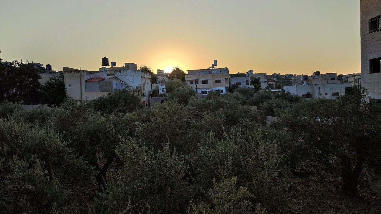 Photo of Others in Ein Dor
