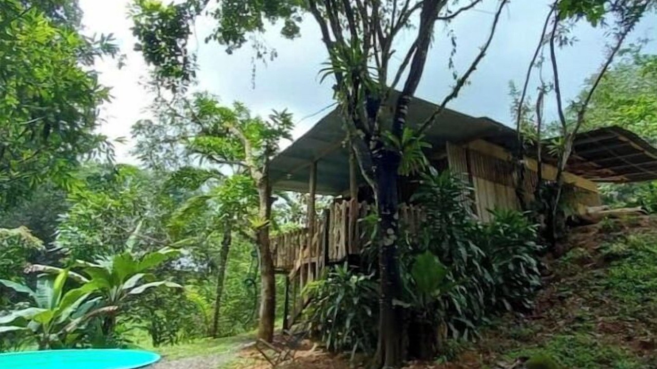 Photo of Outdoor in Naranjito
