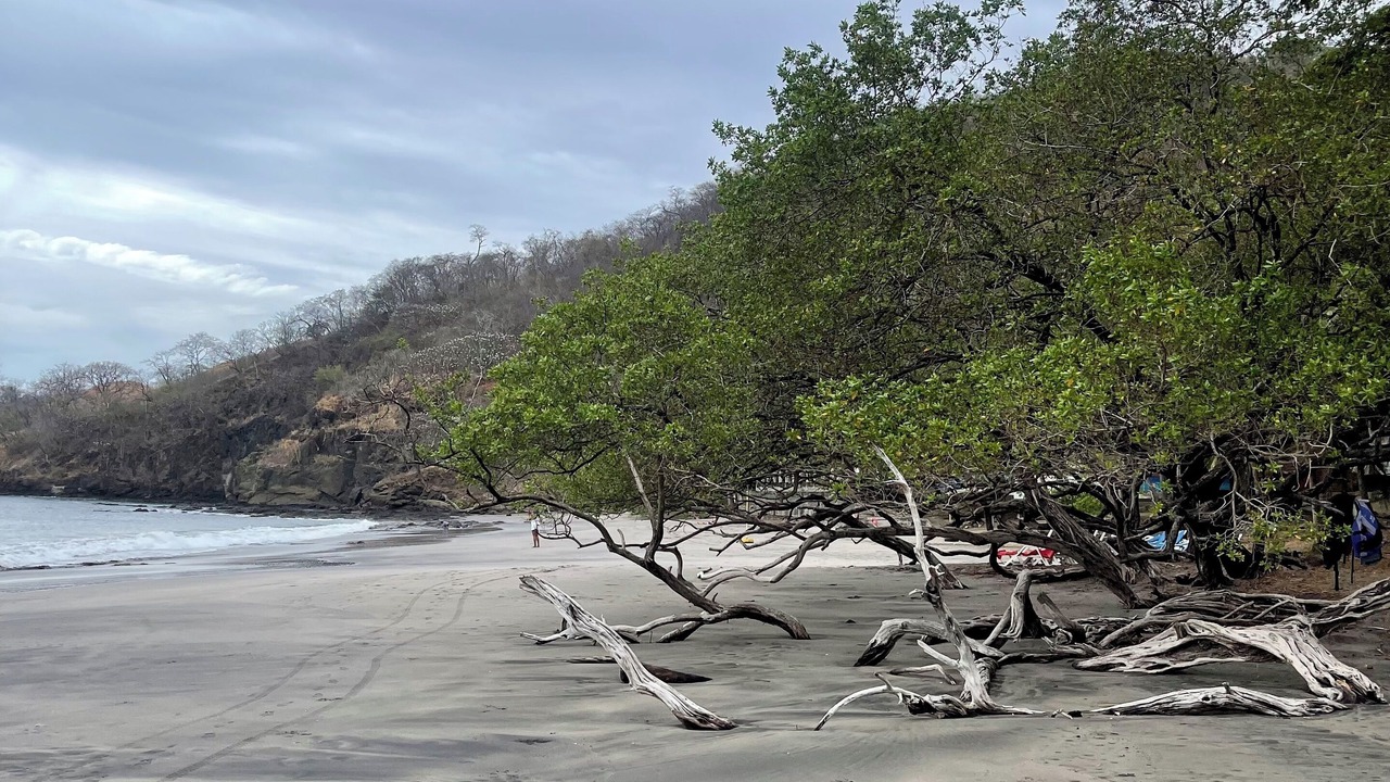 Photo of Others in Playa Hermosa