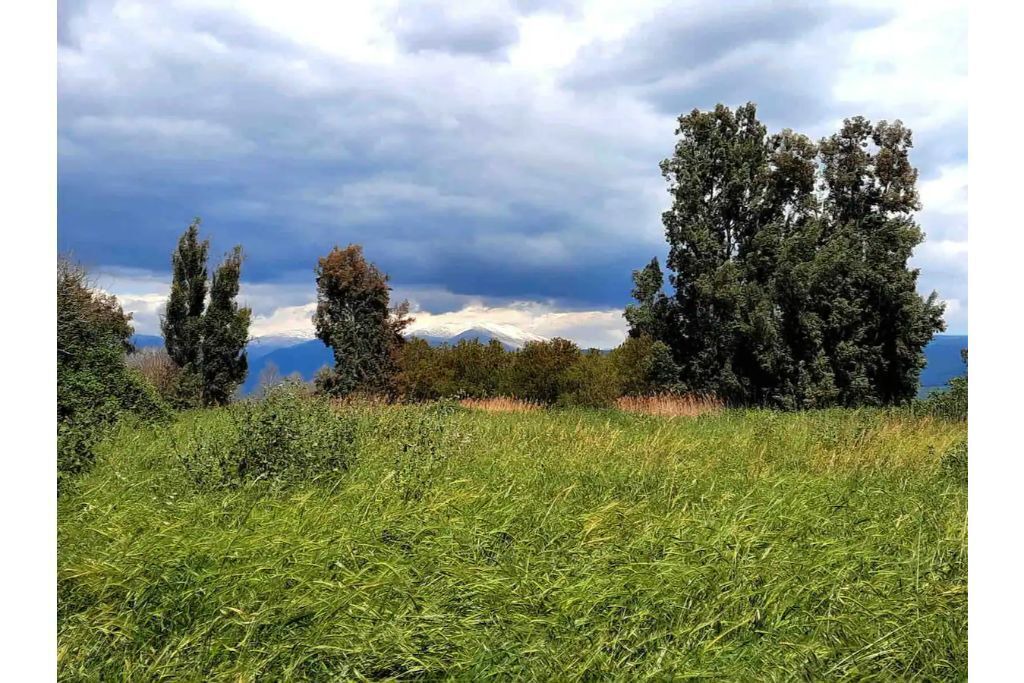 Photo of Outdoor in Sde Nehemia