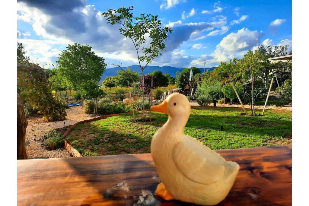 Photo of Outdoor in Sde Nehemia