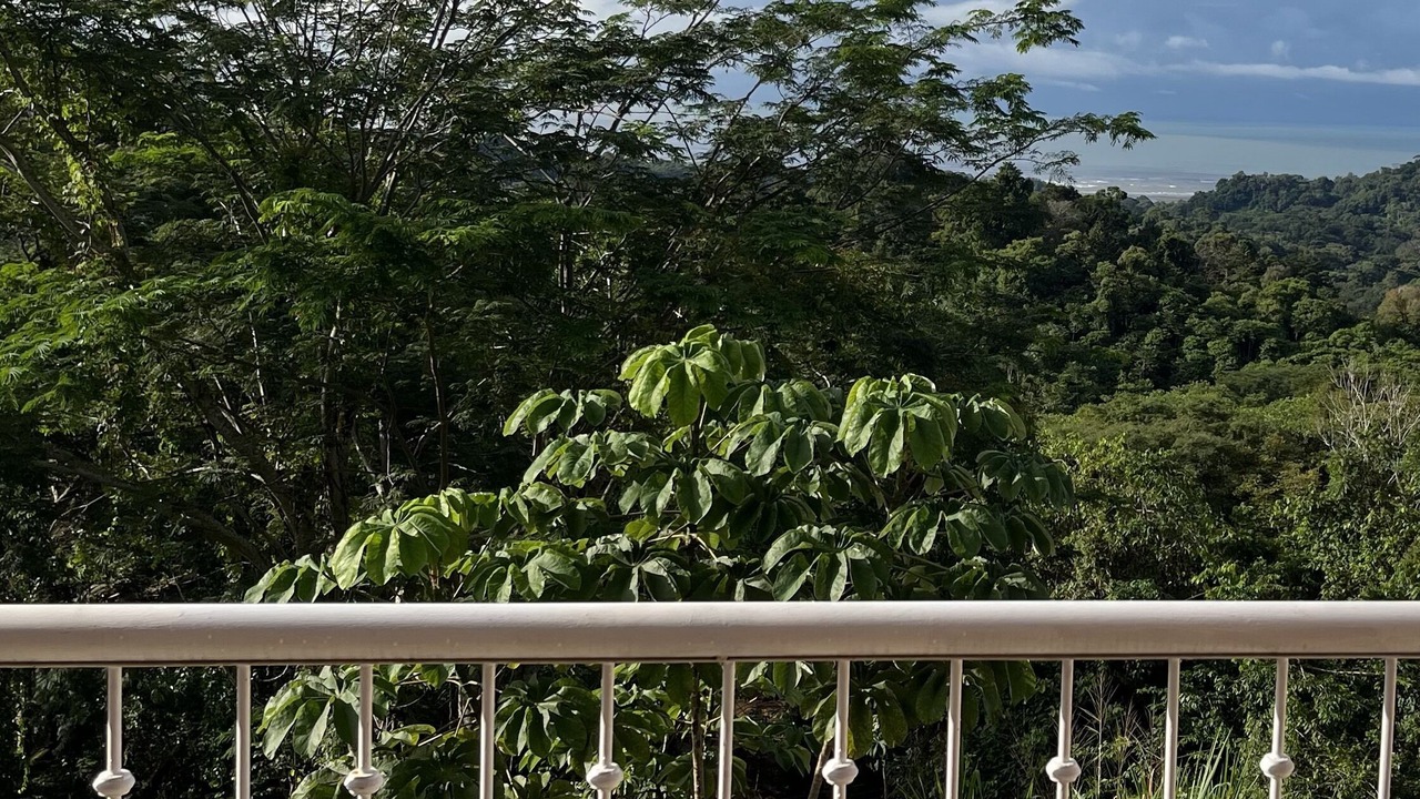 Photo of Outdoor in Ballena