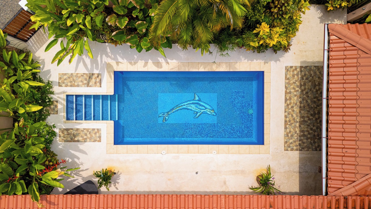 Photo of Outdoor in Ballena