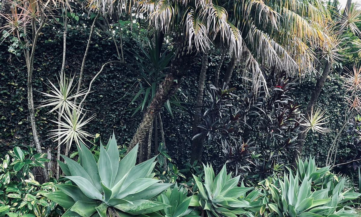 Photo of Outdoor in San Antonio