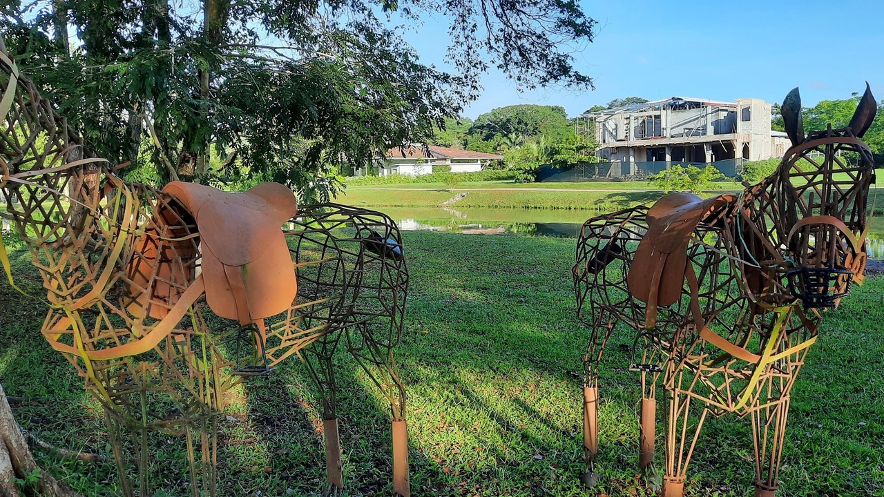 Photo of Outdoor in Jaco