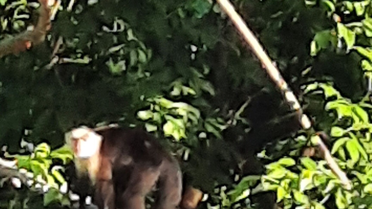 Photo of Outdoor in Jaco