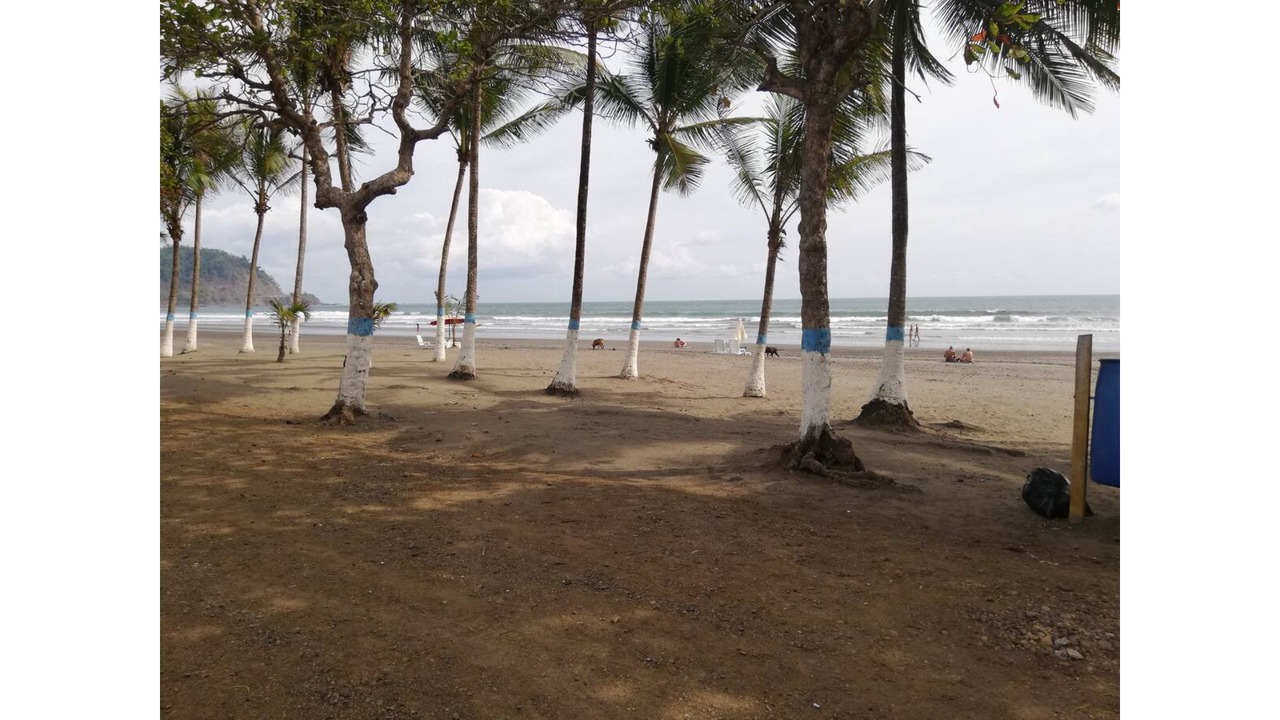 Photo of Others in Jaco