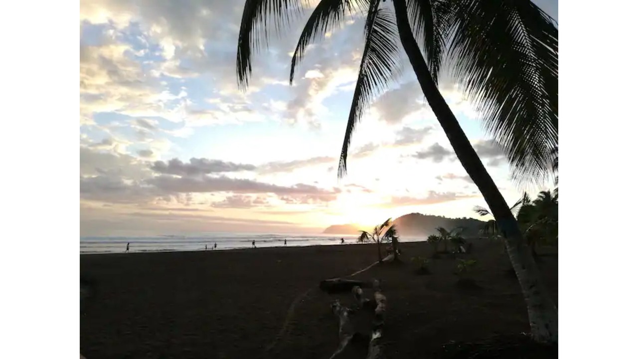 Photo of Others in Jaco