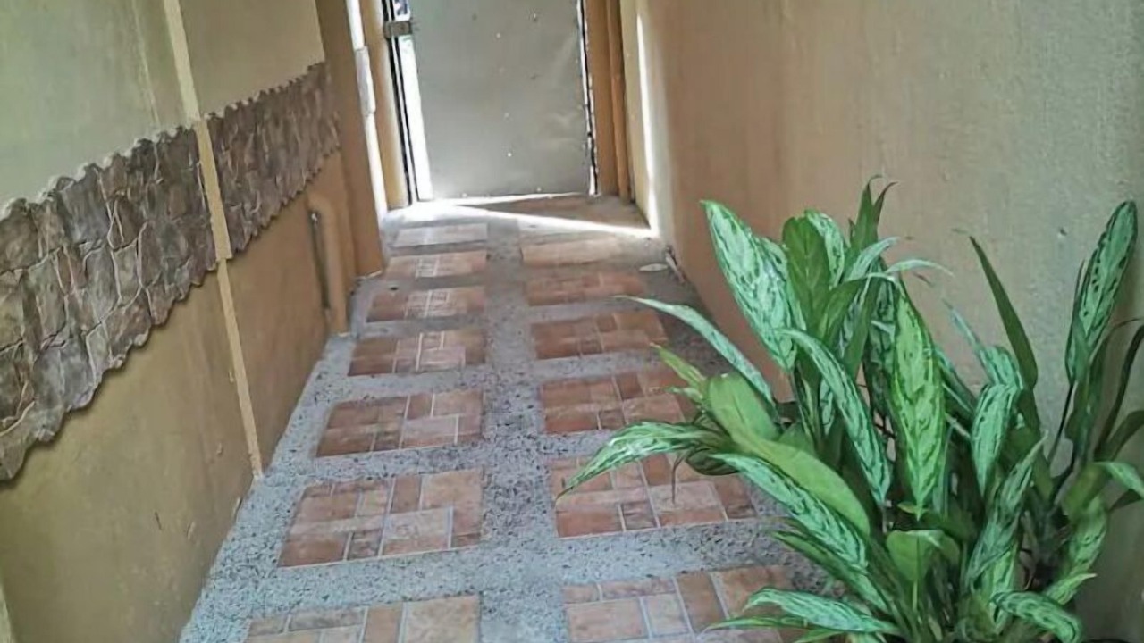 Photo of Outdoor in Jaco