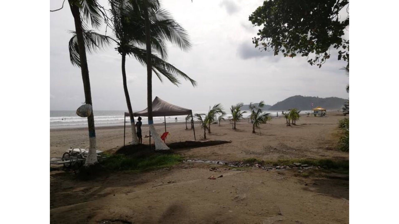 Photo of Others in Jaco