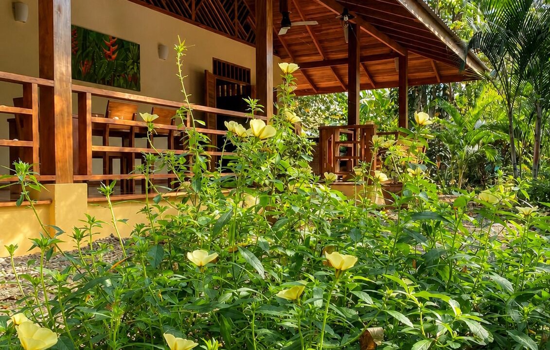 Photo of Outdoor in Puerto Viejo de Talamanca