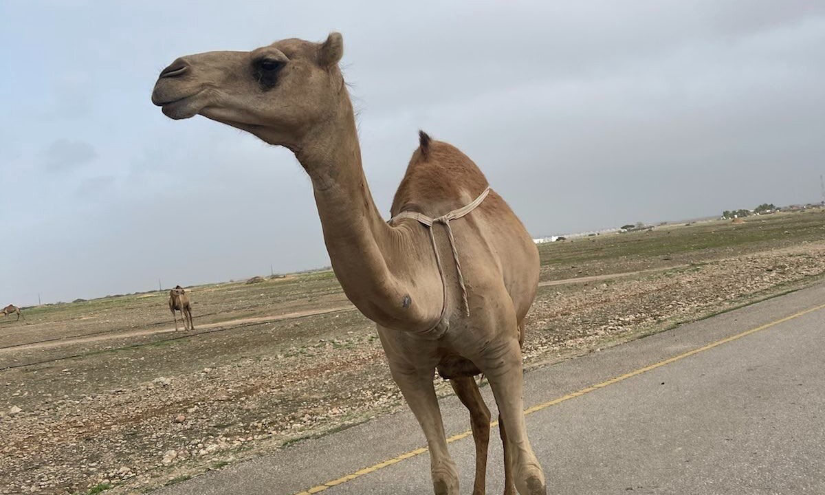 Photo of Outdoor in Taqah