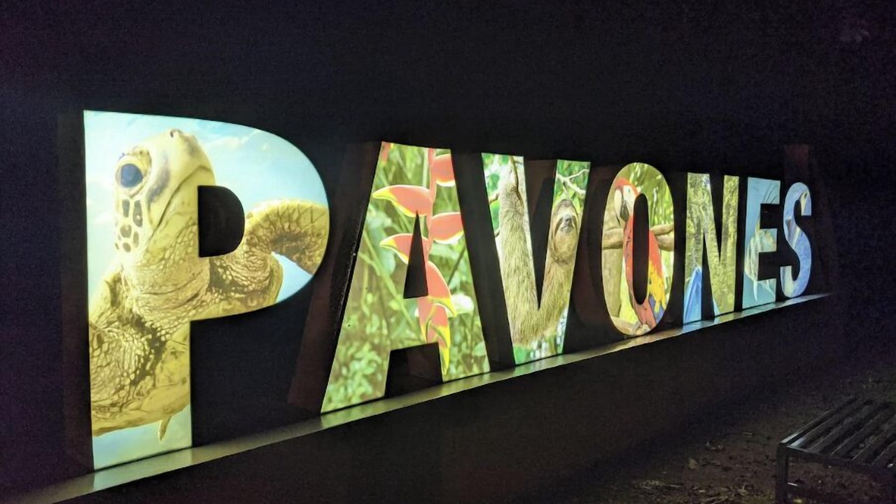 Photo of Others in Pavones