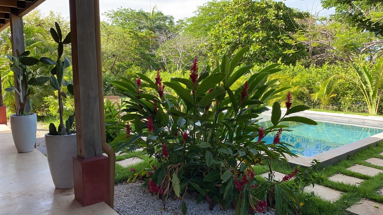 Photo of Outdoor in Playa Negra