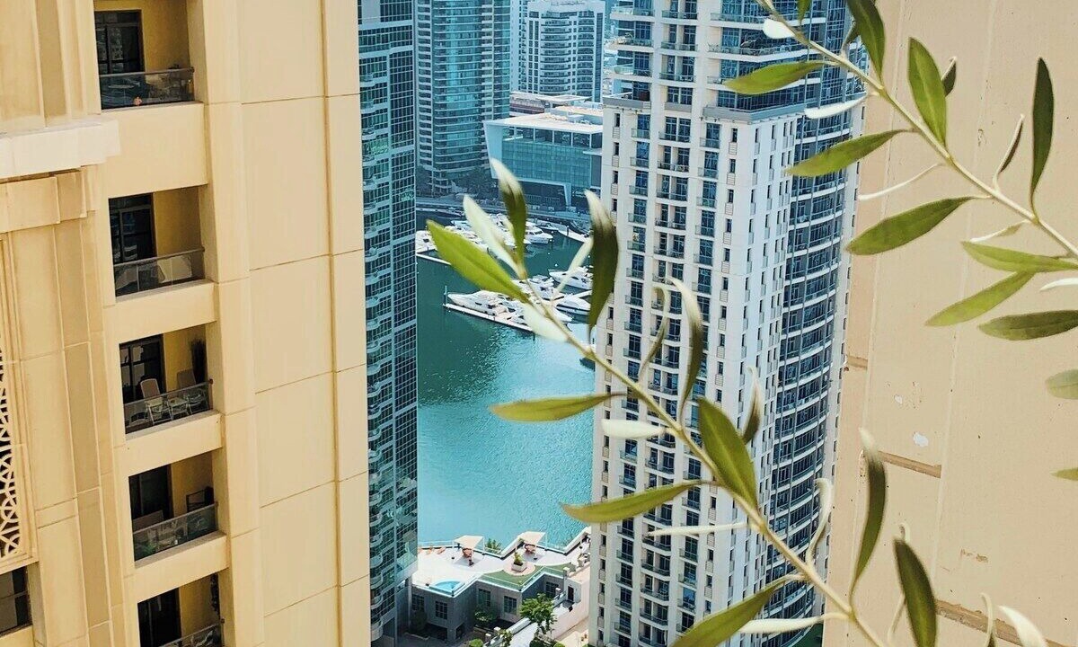 Photo of Others in Jumeirah Beach Residence