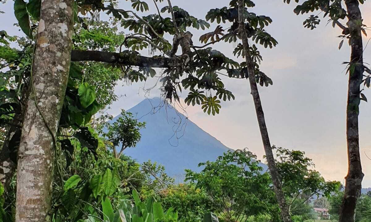 Photo of Others in La Fortuna