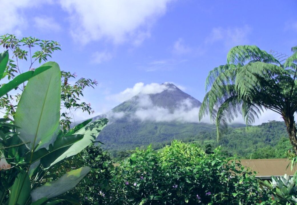 Photo of Others in Coco