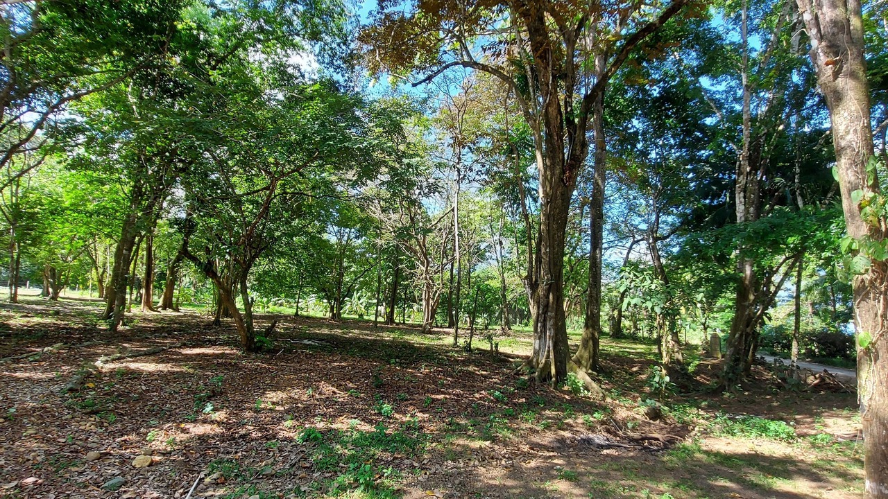 Photo of Outdoor in Pavones