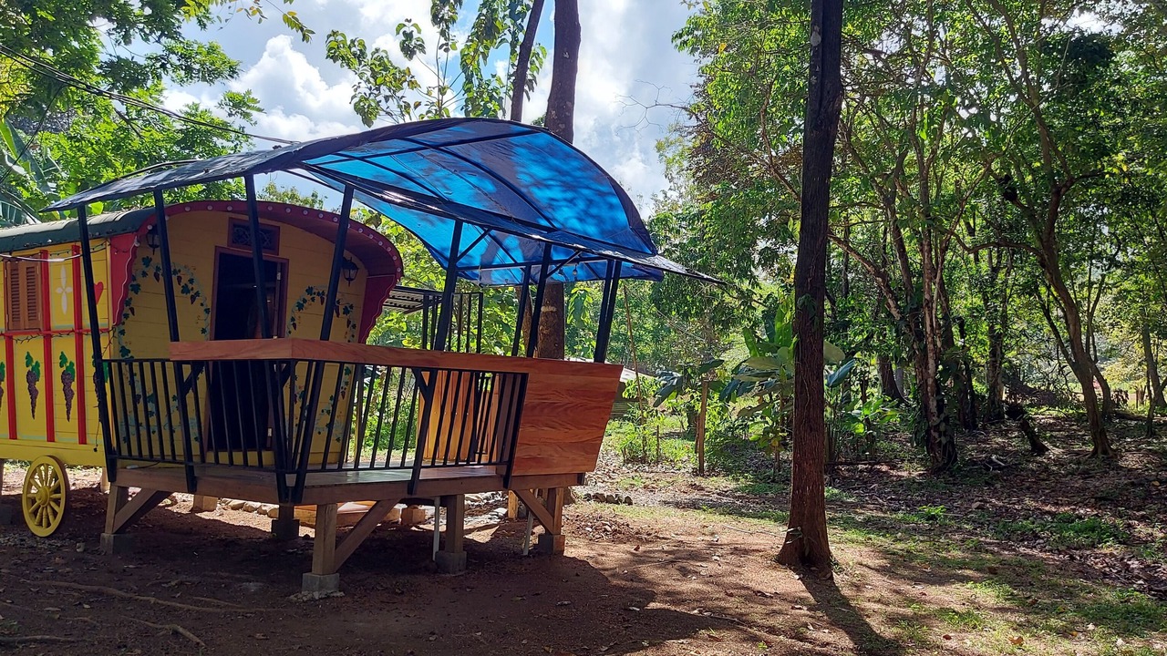 Photo of Outdoor in Pavones