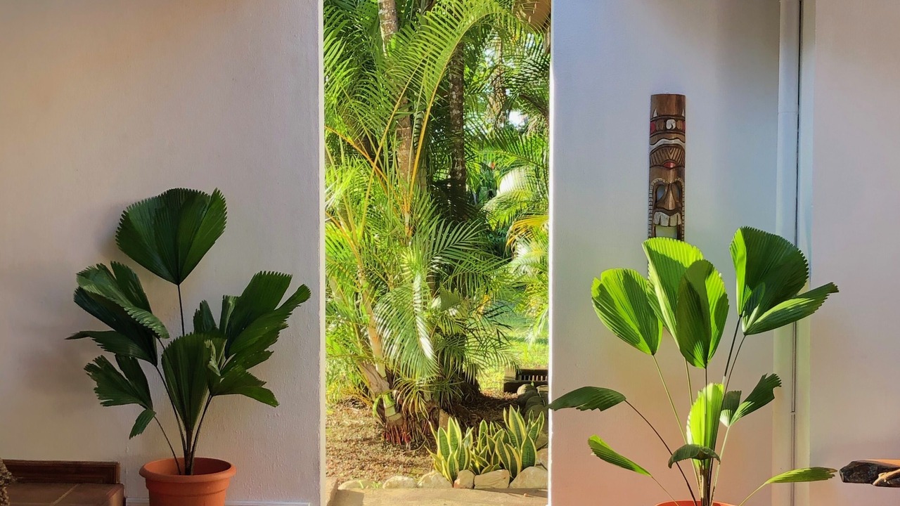 Photo of Outdoor in Jaco