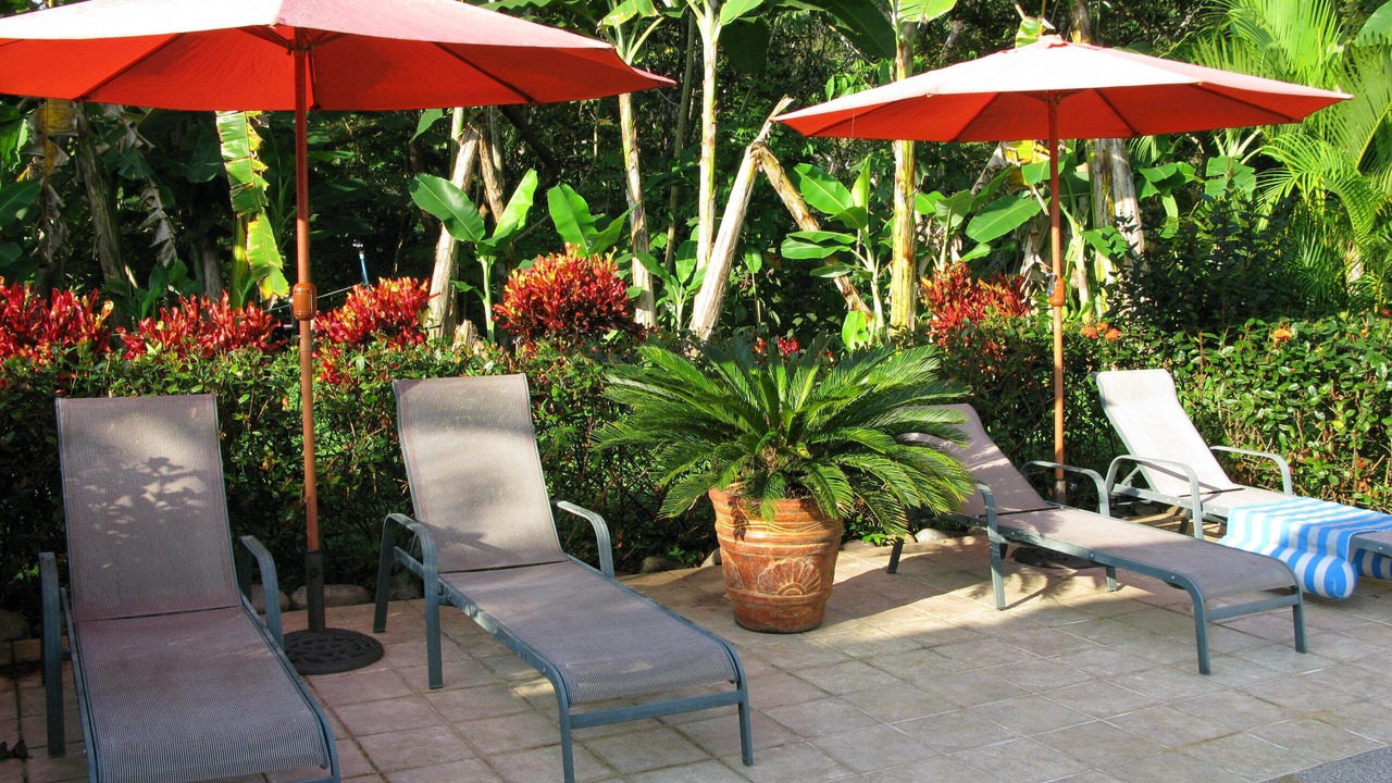 Photo of Patio Balcony in Jaco