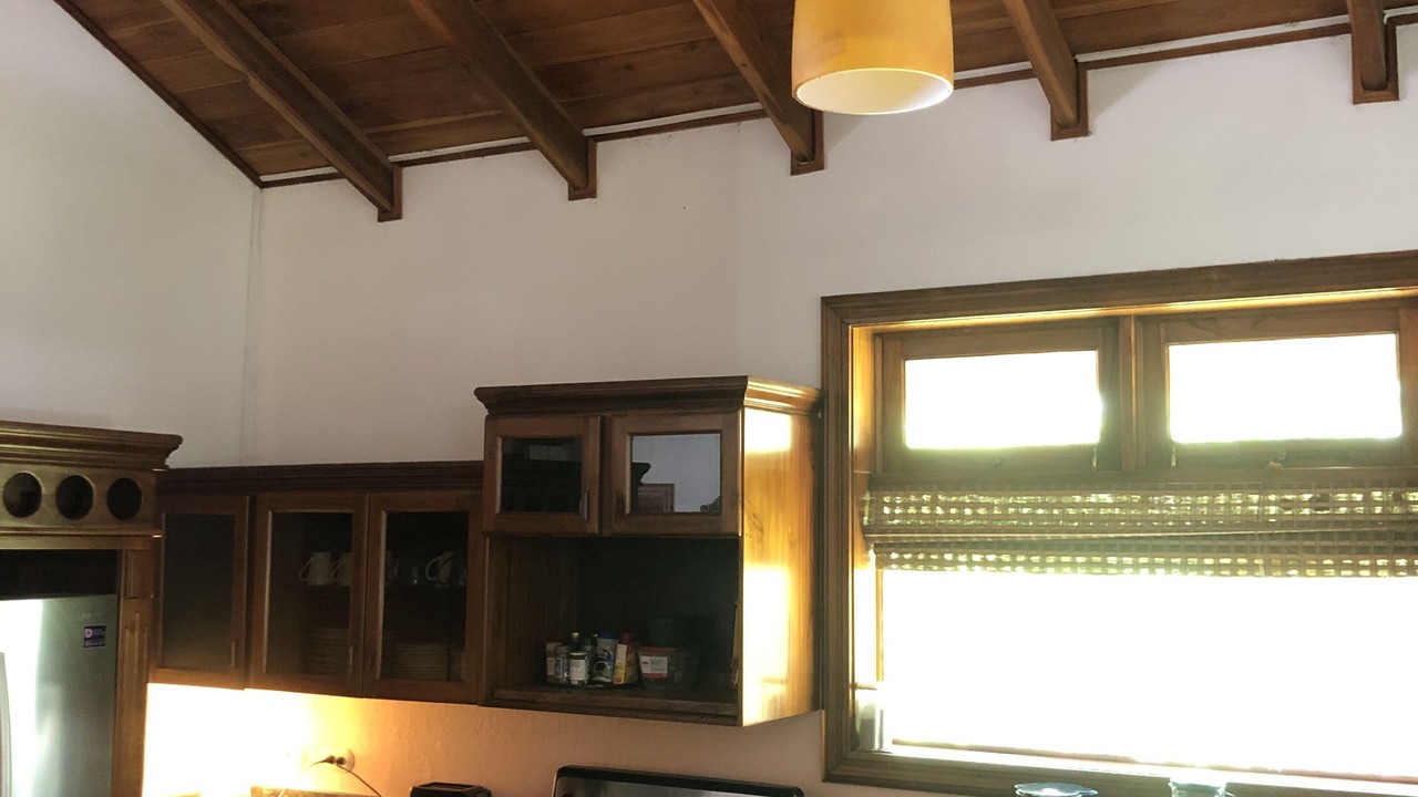 Photo of Kitchen in Jaco