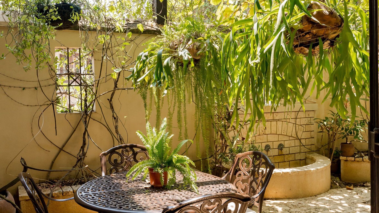 Photo of Outdoor in Las Catalinas