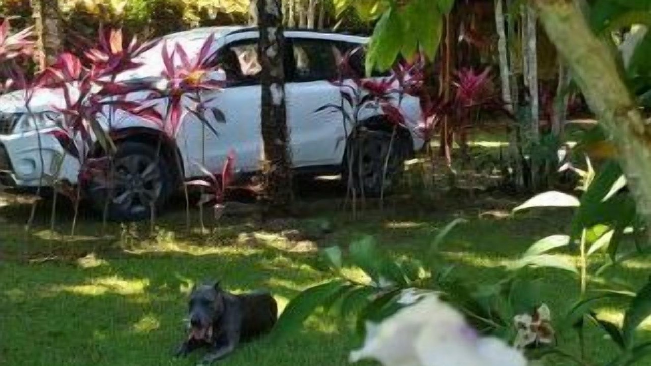 Photo of Outdoor in Pavones