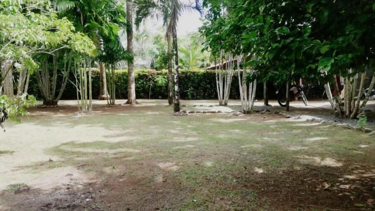 Photo of Outdoor in Pavones