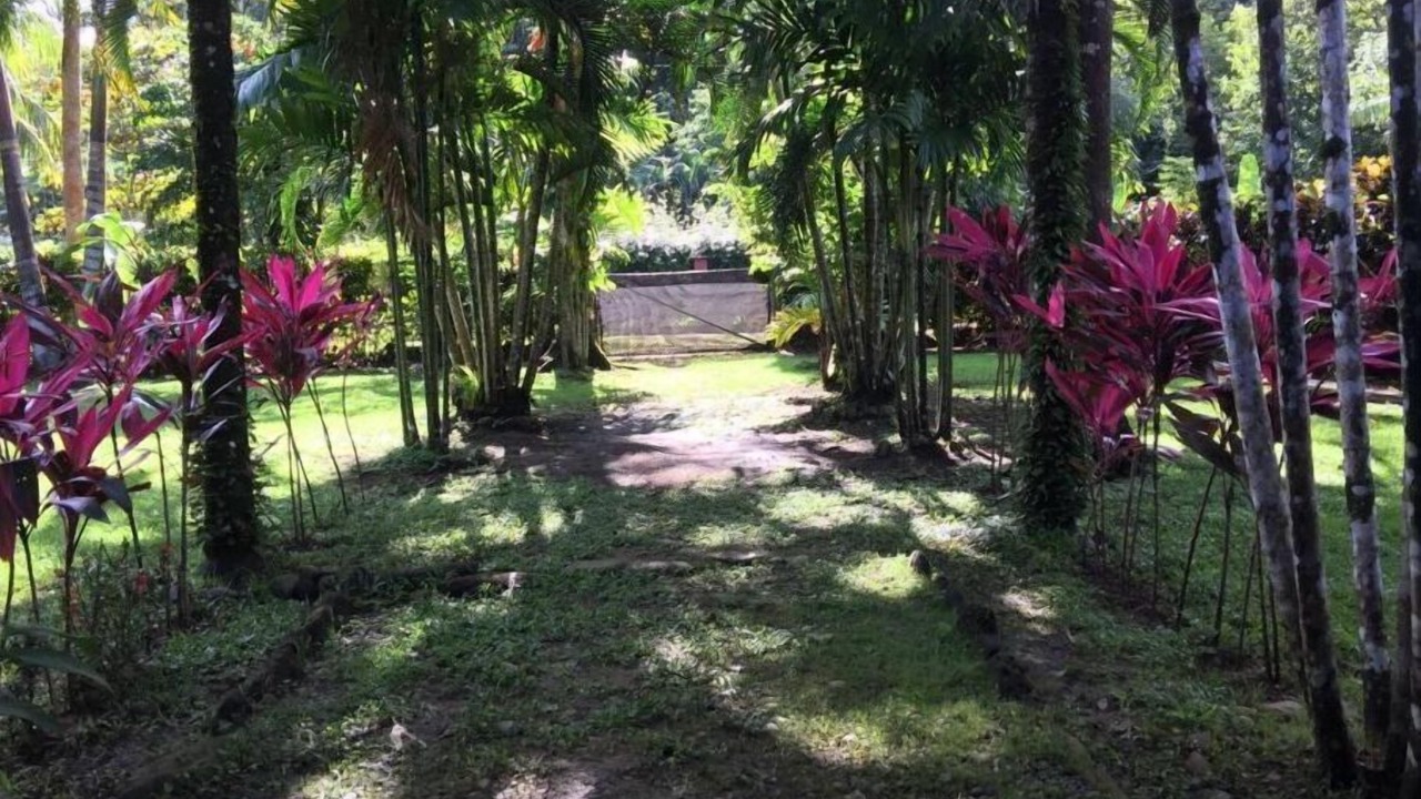 Photo of Outdoor in Pavones