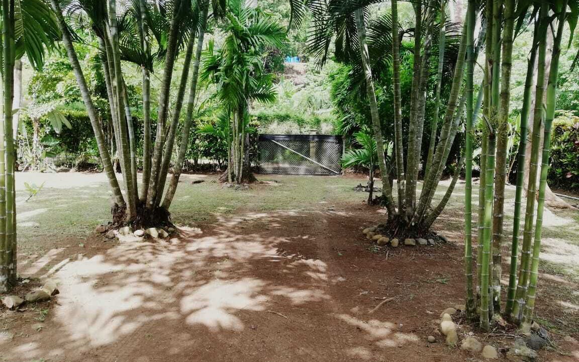 Photo of Outdoor in Pavones