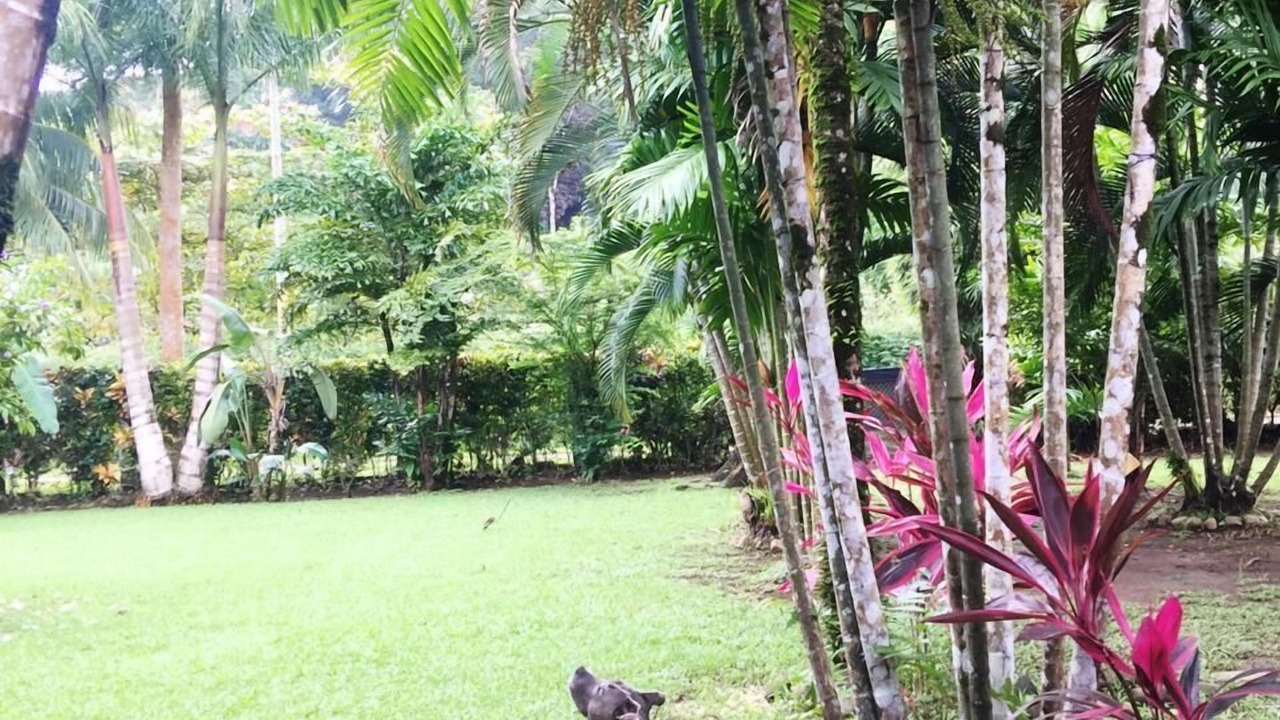 Photo of Outdoor in Pavones