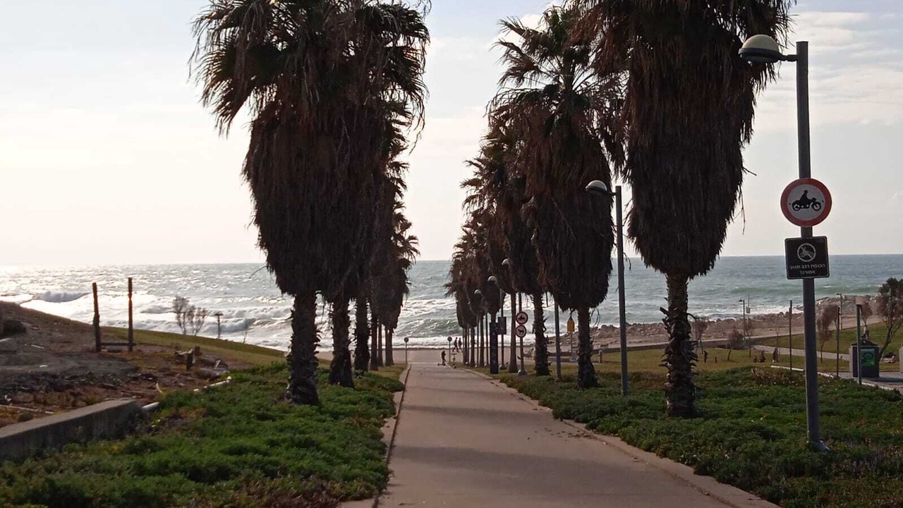 Photo of Outdoor in Jaffa