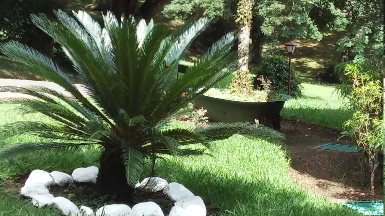 Photo of Outdoor in Coco