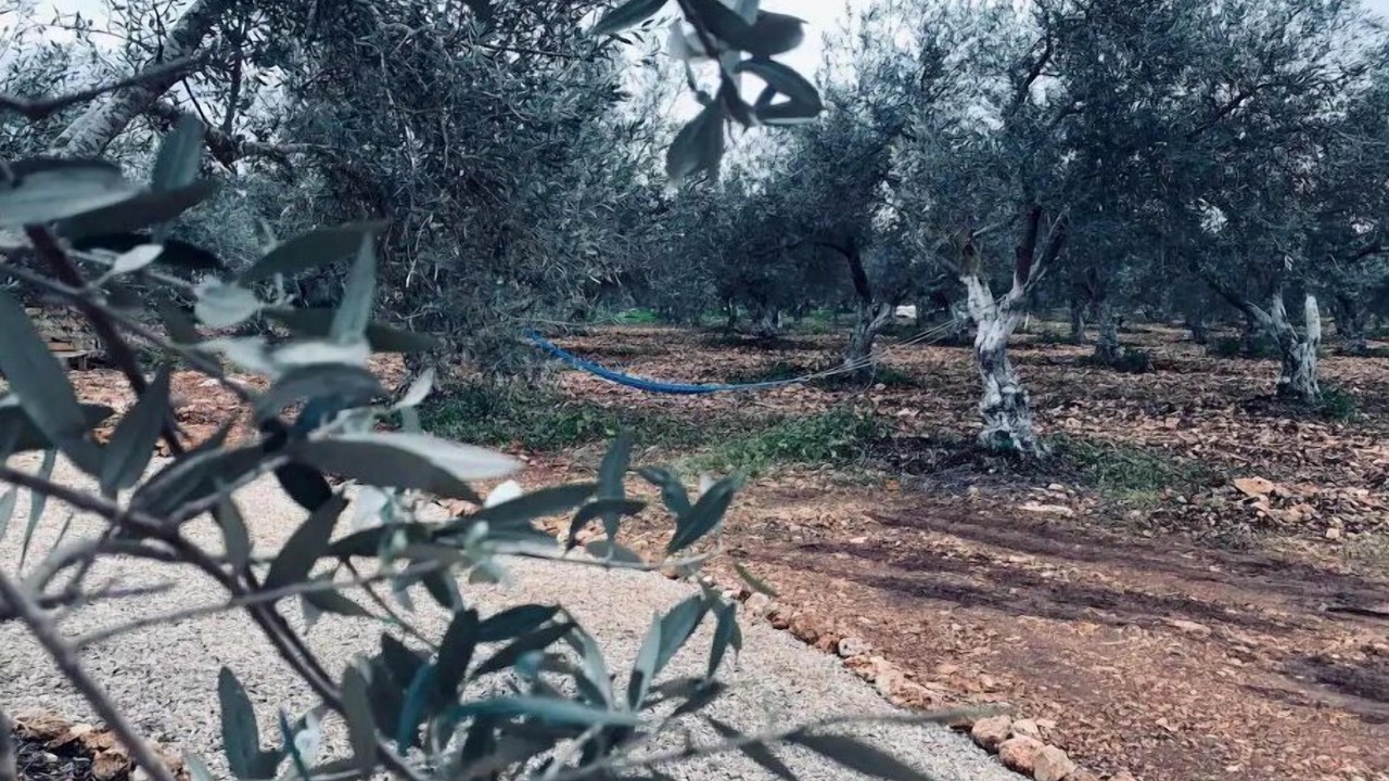 Photo of Outdoor in Klil
