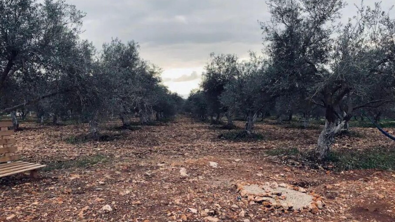 Photo of Outdoor in Klil
