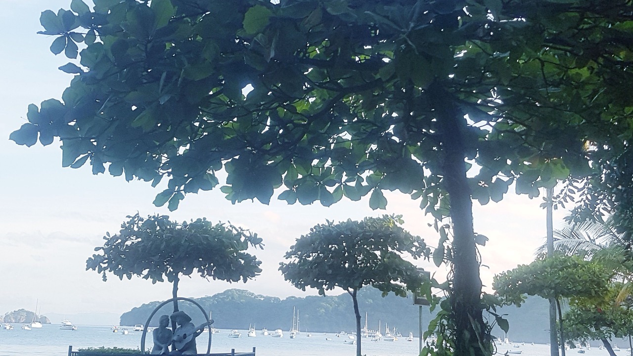Photo of Outdoor in Coco