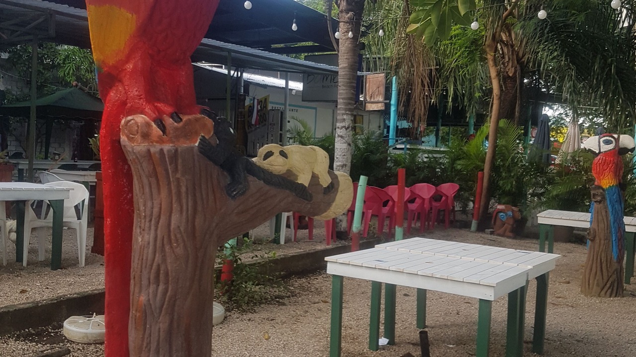 Photo of Outdoor in Coco