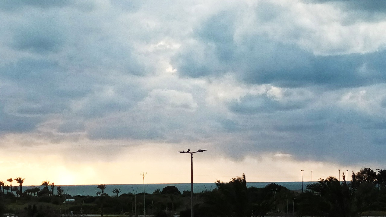 Photo of Others in Ashkelon