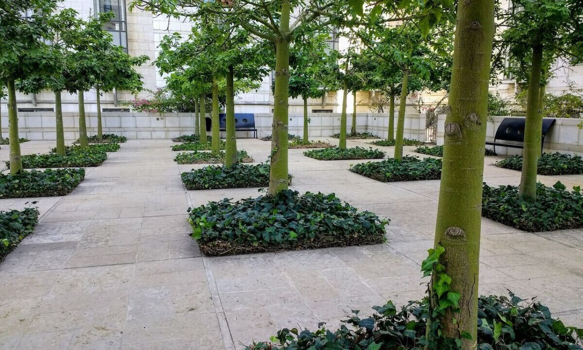 Photo of Outdoor in Tel Aviv City Center