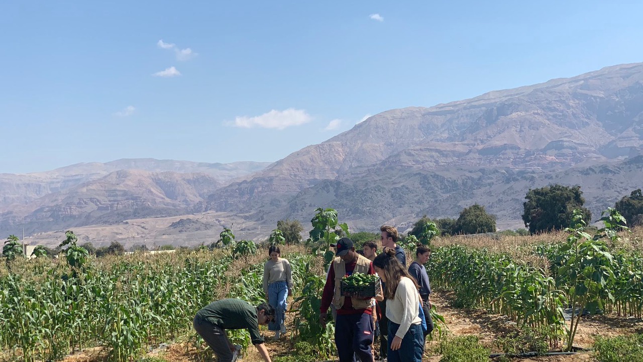 Photo of Outdoor in Gawr as-Safi