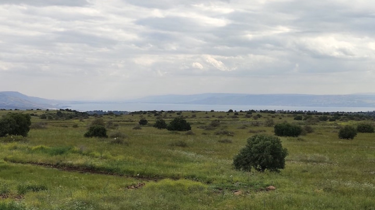Photo of Others in Holon
