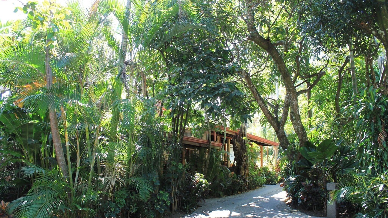 Photo of Outdoor in Escazu