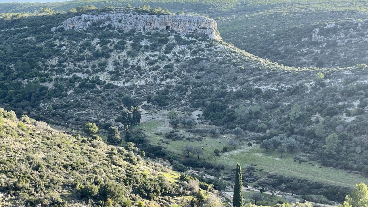 Photo of Outdoor in Haifa
