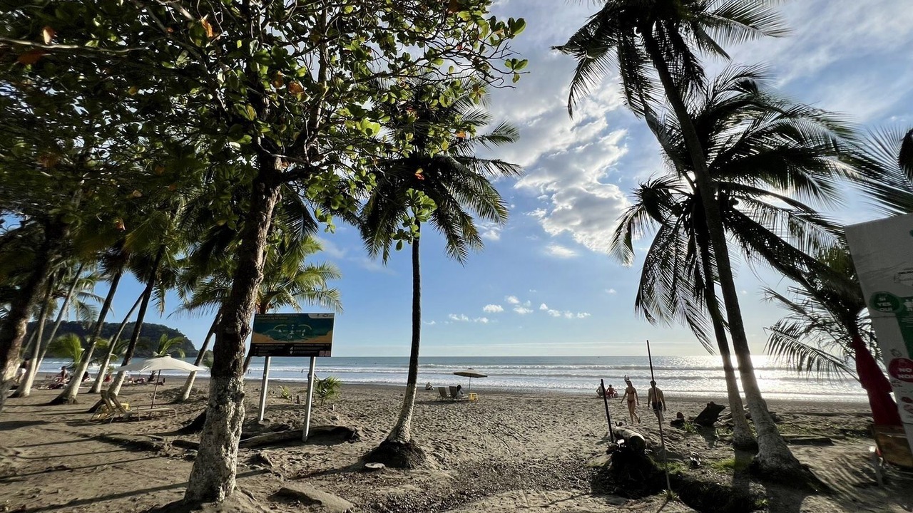Photo of Others in Jaco